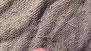 Sborrata copiosa per moglie