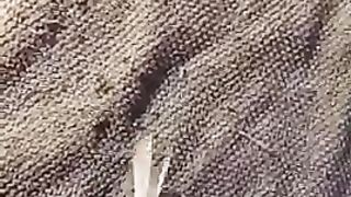 Sborrata copiosa per moglie