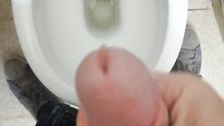 Sborratina mattutina