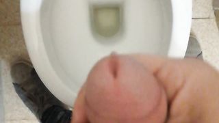 Sborratina mattutina