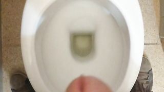 Sborratina mattutina