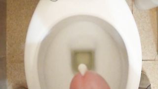 Sborratina mattutina