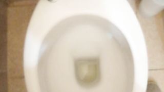 Sborratina mattutina