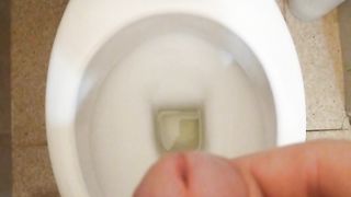 Sborratina mattutina