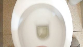 Sborratina mattutina