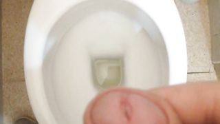 Sborratina mattutina