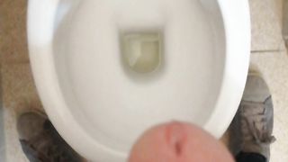 Sborratina mattutina