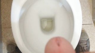 Sborratina mattutina