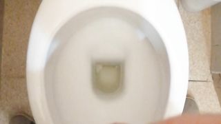 Sborratina mattutina