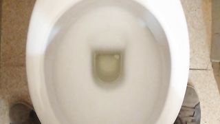 Sborratina mattutina