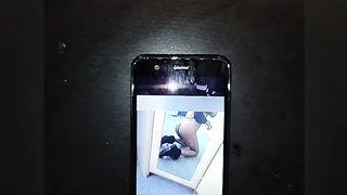 Tributo a Moglie troia