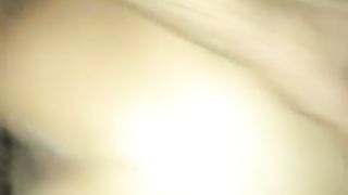 Brasiliana scopata a pecorina