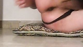 Al tempo delle mele...