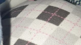 Schizzo su mia moglie che dorme 2