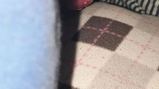 Schizzo su mia moglie che dorme 2