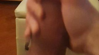 Lenta x farvela assaporare