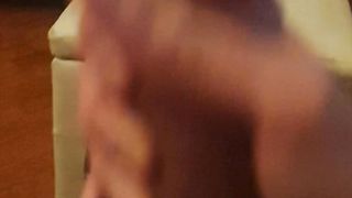 Lenta x farvela assaporare