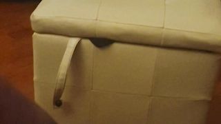 Lenta x farvela assaporare