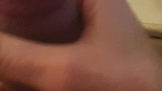 Lenta x farvela assaporare