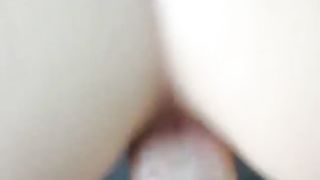 La SECCHIONA e il CAZZONE