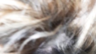 BIONDINA CAGNA INGOIA