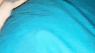 BIONDINA CAGNA INGOIA