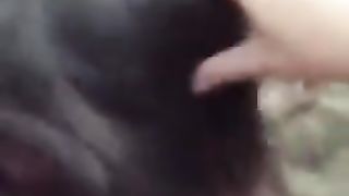 SESSO ORALE pubblico in SPIAGGIA