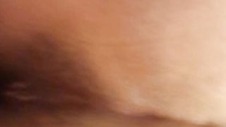 Mi cavalca al contrario