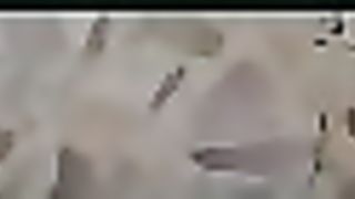 Guarda come dondolo...!