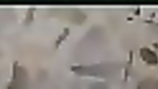 Guarda come dondolo...!