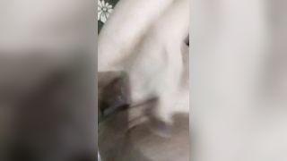 Amica siberiana si sditalina la figa