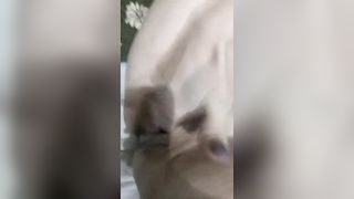 Amica siberiana si sditalina la figa