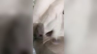 Amica siberiana si sditalina la figa