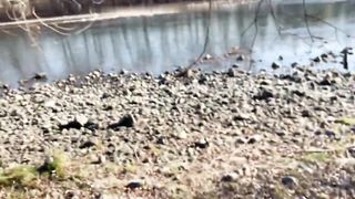 ESCI di PIU' il TUO CULO ! TROIA !