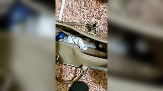 Mia moglie mi ha fatto cornuto !