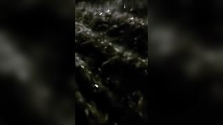 Mia moglie mi ha fatto cornuto !