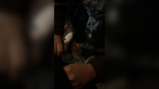 CIAO MIEI AMATI PORCELLONI !