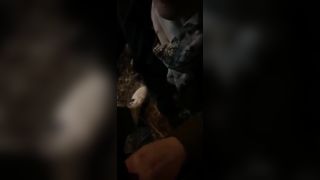 CIAO MIEI AMATI PORCELLONI !