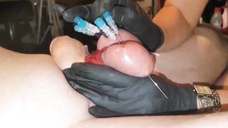 Una severissima padrona