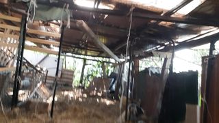 Mi sego nella stalla