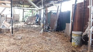 Mi sego nella stalla