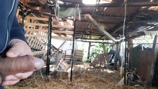 Mi sego nella stalla