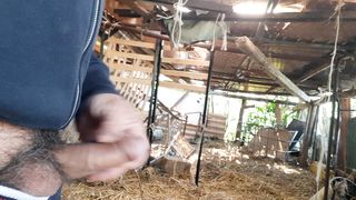 Mi sego nella stalla