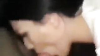 Con la vacca Napoletana in auto