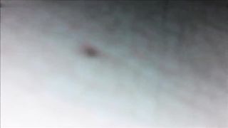 Rosa e Marrone i due vecchi maialoni