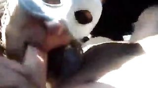 Sega e Pompino in auto