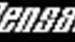 Black Bull For Hire 3