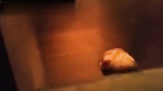 Spiati nel bagno della disco