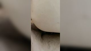 Mia moglie arrapata 2