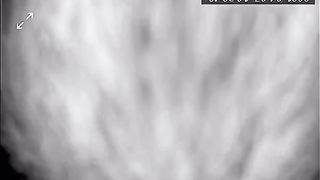 Leccatina al suo clitoride